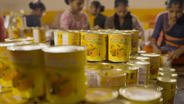DESAI AMAR canned Alphonso mango products, factory packing